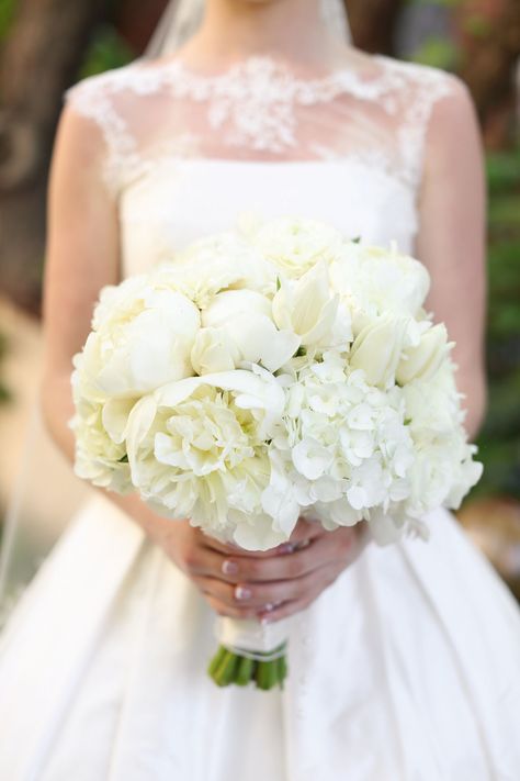 Tulip And Hydrangea Wedding Bouquet, Small White Hydrangea Bouquet, White Round Bridal Bouquet, Tulip Hydrangea Bouquet, White Peonies And Hydrangeas Bouquet, Blue Hydrangea And Peony Bouquet, Peonies Bride Bouquet, Peony Hydrangea Bouquet, Hygrandea Bouquet