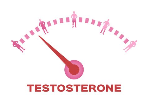 Healthy Testosterone Levels in Men: How to Increase Testosterone Levels the Natural Way Ways To Increase Testosterone, Testosterone Therapy, Liver Issues, Increase Testosterone Levels, Male Inspiration, High Testosterone, Breath Of Life, Increase Testosterone, Increase Muscle Mass