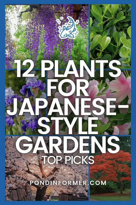 Elevate your Japanese-style garden with our top 12 plant picks! From the graceful elegance of Japanese maple trees to the delicate beauty of cherry blossoms, these selections capture the essence of traditional Japanese landscaping.  #JapaneseGardens #ZenGardening #Japanese #ZenGarden #GardenDesign #JapanesePlants #AsianInspiredGardens #GardenInspiration #JapaneseFlora #MinimalistGardening #SereneLandscapes #Garden #Gardening #GardenIdeas #PondInformer Plants For Japanese Garden Landscaping, Japanese Maple Garden Design, Japanese Garden Trees, Japanese Garden Flowers, Japanese Front Garden, Japanese Trees Landscape, Japanese Style Garden Ideas, Backyard Japanese Garden Ideas, Japanese Style Garden Backyards