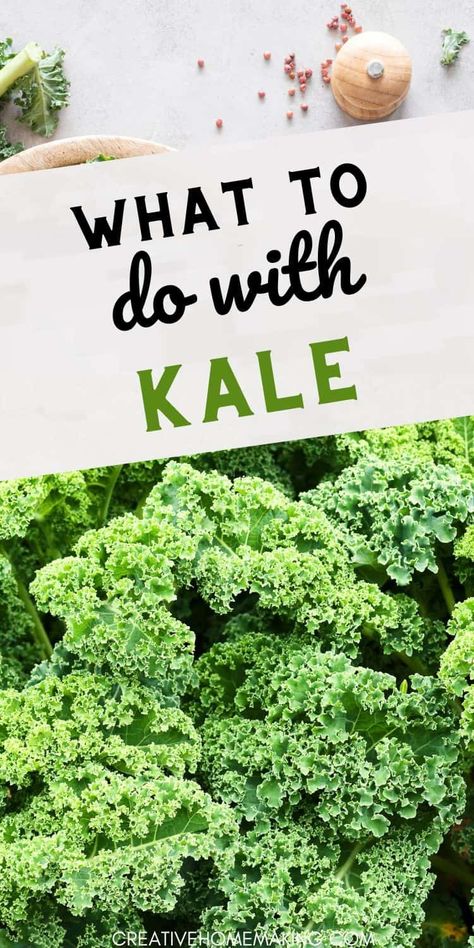 Looking for ways to enjoy kale? Check out our favorite recipes and creative ideas! From hearty soups and flavorful pestos to crispy kale chips, there’s no shortage of delicious options. Perfect for adding nutrition and flavor to your dishes! Dive into the world of kale and get inspired! Things To Do With Kale, Ways To Use Kale, Best Way To Cook Kale, Dinner Ideas With Kale, Ways To Cook Kale, Best Kale Recipes, Recipes For Kale Greens, Kale And Spinach Recipes, Preserving Kale