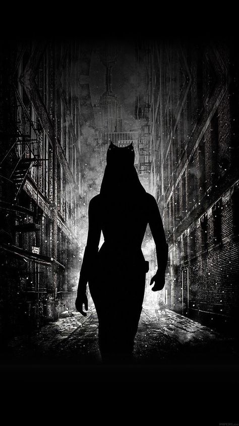 Cat Superhero, Wallpaper Iphone Ios7, Catwoman Comic, Catwoman Selina Kyle, Catwoman Cosplay, The Dark Knight Trilogy, Cat Women, Batman Artwork, Cat Woman