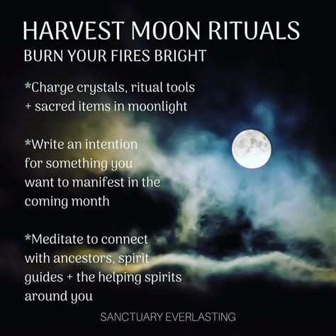 Three easy full moon rituals to celebrate the Harvest Moon. Learn how to bless and cleanse your body and living space--and also charge your crystals. Full Harvest Moon Rituals, Harvest Moon Celebration, Harvest Moon Activities, Harvest Full Moon Ritual, Harvest Moon Ritual, September Magick, November Moon, Harvest Full Moon, Full Harvest Moon