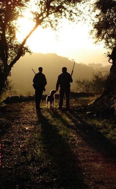 A Far Wilder Magic, Hunting Aesthetic, Upland Bird Hunting, Hunting Photography, Upland Hunting, Hunting Pictures, Hog Hunting, Hunting Stuff, Pheasant Hunting