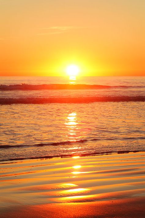 At The Beach, The Ocean, The Sun, The Beach, Sun, Water