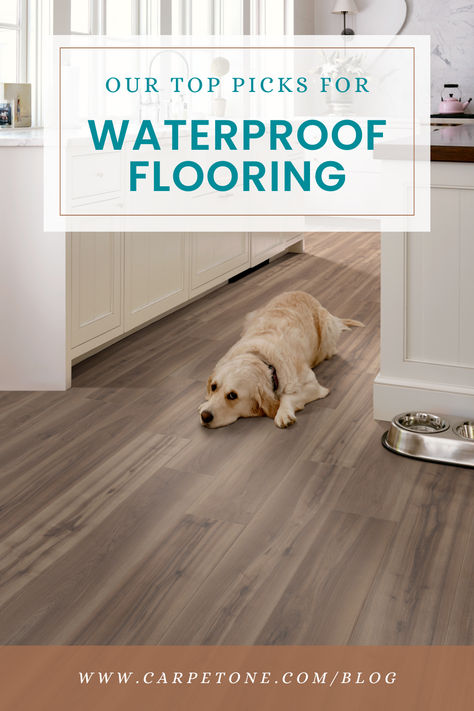 best-waterproof-flooring-options Floor Stickers Vinyl, Best Flooring For Dogs, Pet Friendly Flooring, Indoor Dog Kennel, Floor Options, Waterproof Laminate Flooring, Laundry Room Flooring, Waterproof Floor, How To Waterproof Wood