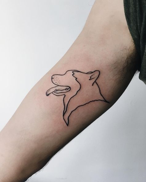 Inês ✨ on Instagram: “O Newton no @fabriziododat • • • • #firsttattoo #tattooaprentice #tattoo #tattoos #dogtattoo #huskytattoo #linetattoo #tattooline…” Husky Tattoo Outline, Fine Line Husky Tattoo, Minimalist Husky Tattoo, Alaskan Malamute Tattoo, Husky Outline Tattoo, Malamute Tattoo, Husky Tattoo Simple, Husky Outline, Husky Tattoo Ideas