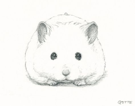 Animation Character Concept, Cartoon Drawings Of Animals, A Hamster, Doodle Images, Dragonfly Art, Cute Hamsters, Amazing Drawings, Hand Art Drawing, Cute Little Drawings