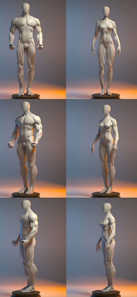 Human Body Drawing, Anatomy Sculpture, Anatomy Tutorial, Sketch Poses, Human Anatomy Drawing, Human Anatomy Art, Anatomy Sketches, Anatomy Poses, Anatomy For Artists