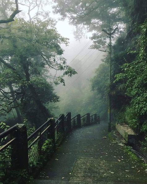 Raid De Himalaya on Instagram: “Mansoon Greens 💚💚 . It really feels good to be lost in the right direction. Fill your life with adventures. All you need to know is that…” Fav Place, Mussoorie, Just A Dream, Incredible India, India Travel, Nature Photos, Inspiration Board, Beautiful Destinations, A Dream