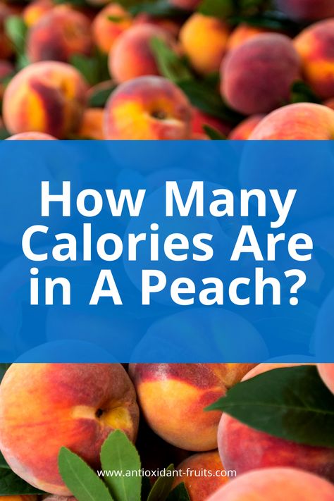 peach calories Peach Calories, Best Fruits For Diabetics, Fruit Calories, Fruit For Diabetics, Juicy Peach, Fruit Picking, Healing Food, Stone Fruit, Best Fruits