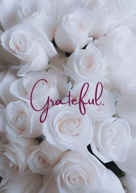 Thankfully Quotes Grateful, Grateful Wallpaper Iphone, Always Be Grateful Quotes, Be Grateful Wallpaper, Thankful Grateful Blessed Wallpaper, Grateful Wallpaper, 2025 Blessings, Be Grateful Quotes, Grateful Aesthetic