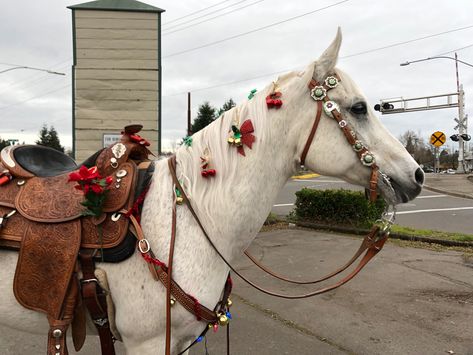 Christmas Horses, Christmas Parade, Christmas Holidays, Fair Grounds, Horses, Travel, Animals