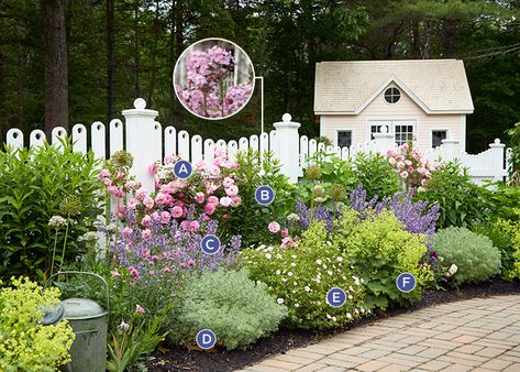 Cottage Garden Charm: Old-fashioned flowers, a custom white picket fence, and colorful containers make this charming cottage garden a spot you never want to leave! Heat Tolerant Flowers, New England Cottage, Cottage Backyard, Cottage Garden Ideas, Diy Rose, Cottage Garden Design, Cottage Garden Plants, English Cottage Garden, White Picket Fence