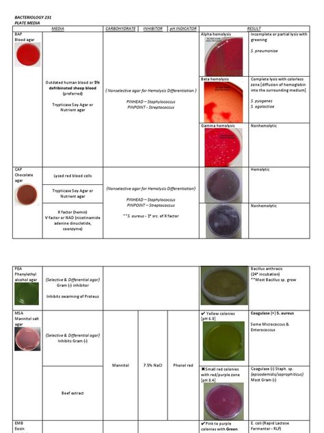 University of Santo Tomas Faculty of Pharmacy Medical Technology Department Microbiology - Bacteriology Summarized by Mary Christelle G. Aquitania A document that summarizes routinely used plate media for culturing bacteria in Microbiology, especially Staphylococcus, Streptococcus, and Enterococcus. Inclusions of different enrichment and selective substances are indicated for each culture media. Legend: Check mark indicates positive result; otherwise, negative result/inhibitor. [e.g. ... Culture Media Microbiology Notes, Culture Media Microbiology, Microbiology Humor, Bacteria Microbiology, Microbiology Bacteria, Bacterial Culture, Bacteria Culture, Medical Microbiology, Microbiology Study