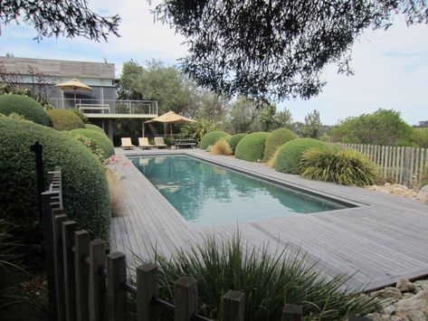 Fiona Brockhoff, Swim Spa Deck, Farm Pool, Country Pool Landscaping, Plants Around Pool, Wooden Pool Deck, Country Pool, Farm Landscaping, Pool Surrounds