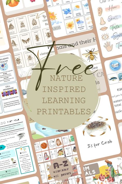 to help children learn about the natural world, including plants, animals, and the #Montessori #Preschool_Homeschool_Free_Printable #Free_Nature_Journal_Printables #Homeschool_Templates_Free_Printables Printables For Preschoolers Free, Homeschool Templates Free Printables, Homeschool Preschool Free Printables, Nature Alphabet Letters Printable Free, Nature Based Homeschooling, Montessori Home School, Free Elementary Printables, Free Homeschooling Resources, Kindergarten Nature Study