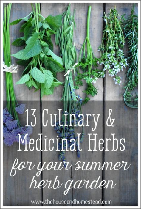 Herbs have a long history of being used for both culinary and medicinal purposes. They truly are the reason for the famous quote, "let thy food be thy medicine, and thy medicine be thy food." Here are 13 must-have culinary and medicinal herbs for your home herb garden. #herbalremedies #medicinalherbs #culinaryherbs #herbgarden Home Herb Garden, Easy Gardening Ideas, Medicinal Herb Garden, Medicinal Herbs Garden, Herb Garden Design, Grow Herbs, Medicinal Herb, Herbs Garden, Herb Gardens