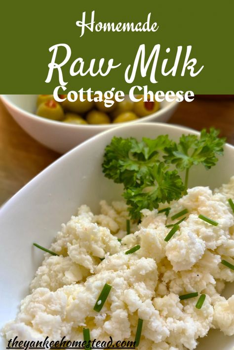 Milk Ideas, Kitchen Hacks Diy, Lacto Fermentation, Milk Goats, Homemade Cottage Cheese, Raw Dairy, Diy Butter, Cheese Recipes Homemade, Sour Milk