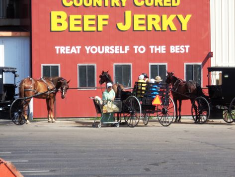 Amish Country Ohio, Holmes County Ohio, Amish Farm, Meat Shop, World Population, Amish Country, Drive Through, Horse Drawn, Alpha Phi