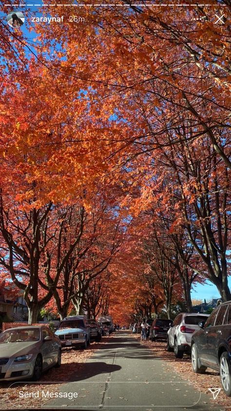 Autumn Fall Aesthetic, This Magic Moment, Fall In Luv, Weather Seasons, Pumpkin Spice Season, Autumn Scenery, Fall Feels, Gods Creation, Cozy Vibes