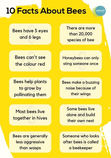 10 Fascinating Bee Facts for Kids | Free PDF - Moonlight Publishing Bee Homeschool Activities, Honeybee Life Cycle, Bee School Project, Bee Facts For Preschoolers, Bee Activities Kindergarten, Bumble Bee Activities For Toddlers, Bee Learning Activities For Kids, Bee Learning Activities, World Bee Day Activities For Kids