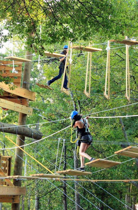 Break free of the concrete jungle and find these outdoor adventures and more in New York City's beachfront backyard. Here are 5 things to do on Long Island. Photo credit: My Photo Journeys Zip Line Backyard, Ropes Course, Forest Adventure, Coban, Backyard Inspiration, Adventure Activities, New Forest, Adventure Park, Summer Bucket Lists