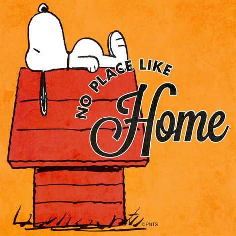 No place like home. Charlie Brown And Friends, Brown And Friends, Snoopy And Charlie Brown, Lucy Van Pelt, Peanut Gang, Peanuts Charlie Brown, Peanuts Cartoon, Snoopy Quotes, Peanuts Characters