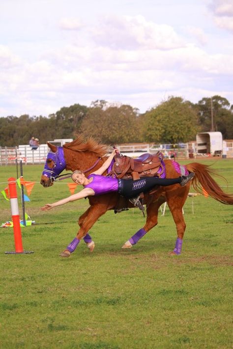 Equestrian Vaulting, Vaulting Equestrian, Ride Drawing, Laura Ann, Trick Riding, Show Horse, Horse Tips, Dream Horse, Equestrian Riding