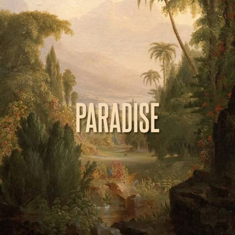 Born To Die Paradise Edition, Born To Die Paradise, Lana Del Rey Paradise, Paradise Aesthetic, Lana Albums, Lana Del Rey Albums, Love Lana Del Rey, Lana Del Rey Art, Lana Del Rey Vinyl