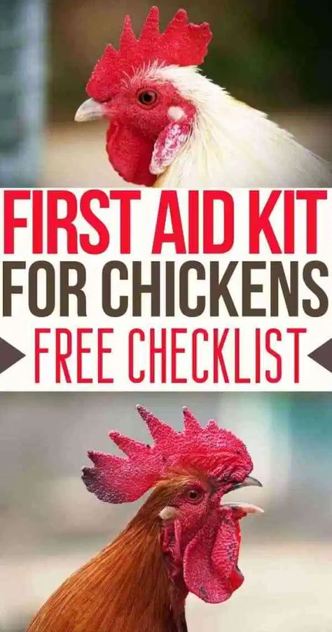 Homesteading Checklist, Raising Chickens Diy, Chicken Illness, Sick Chicken, Chicken Raising, Backyard Chicken Coop, Backyard Chicken Coop Plans, Chicken Care, Backyard Chicken Farming