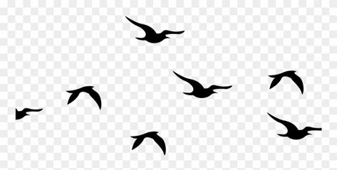 Birds Flying Photography, Flying Bird Vector, Beautiful Easy Drawings, Bird Flock, Flying Photography, Birds Silhouette, Crow Flying, Flying Bird Silhouette, Crow Silhouette