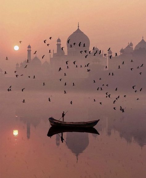 Indian Travel Photography, Indian Aesthetic Places, Indian Nature Photography, Birds Flying Painting, India Travel Aesthetic, Taj Mahal Aesthetic, Indian Culture Aesthetic, Tac Mahal, Desi Aesthetic