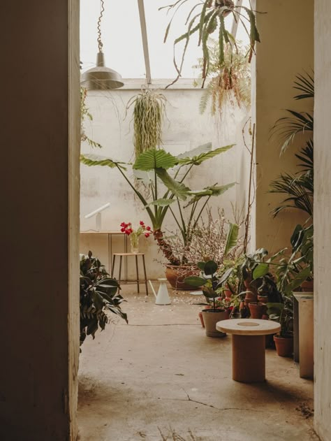 Frama Cph, Barcelona Now, Plant Styling, Store Concept, Floral Design Studio, Green Interiors, Local Florist, Scandinavian Interior, Urban Jungle