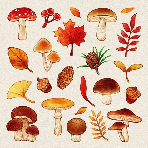 Autumn Journaling, Fall Leaves Drawing, Autumn Doodles, Fall Drawings, Mushroom Drawing, Autumn Illustration, Stickers Kawaii, Leaf Drawing, Love Autumn