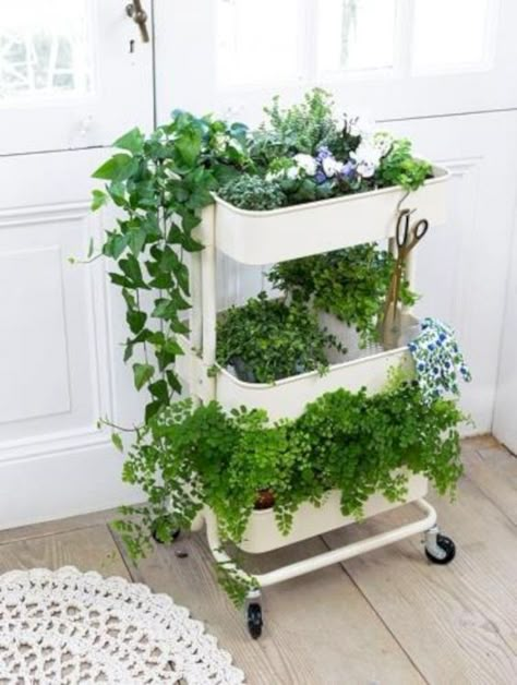 . Heb Garden Ideas, Raskog Ikea, Ikea Plant, Indoor Garden Apartment, Ikea Plants, Ikea Raskog, Small Patio Decor, Plant Rack, Vertical Herb Garden