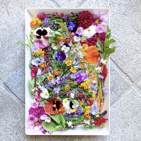 A guide to edible flowers! Charcuterie Board Design Ideas, Charcuterie Board Design, Food Board Ideas, Broccoli Flower, Charcuterie Business, Edible Flower Garden, Salad Caprese, Board Design Ideas, Cheese Board Ideas