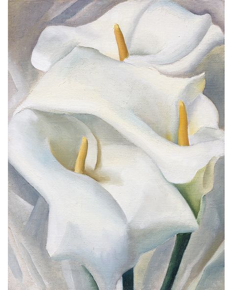 O'Keeffe was initially attracted to flowers due to their intricate forms and colors. She experimented with forms and approaches before settling on a close-up approach in depicting them, which brought out the delicate details and forms of each flower.  Georgia O'Keeffe. Calla Lilies, 1924. Oil on canvas. Private collection. © Georgia O'Keeffe Museum Georgia O Keefe Art, Georgia O'keefe Art, Georgia O Keeffe Paintings, Weisman Art Museum, O Keeffe Paintings, New York Skyscrapers, Georgia Okeeffe, Georgia O Keefe, Georgia Okeefe