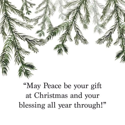 "May Peace be your gift at Christmas and your blessing all year through." Peace At Christmas, Peace Christmas Quotes, Peace Poems, International Peace Day, Peace Day, Christmas Peace, Rock Quotes, Christmas Phrases, Christmas Blessings