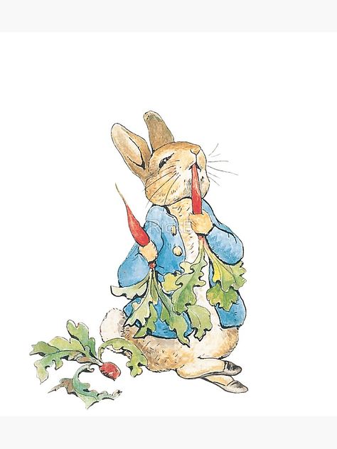 "Peter Rabbit Eating Carrots" Sticker by RickE | Redbubble Peter Rabbit Wallpaper, Peter Rabbit Illustration, Fiber Art Collage, Peter Rabbit Theme, Hare Illustration, Beatrix Potter Illustrations, Young Rabbit, Beatrice Potter, Rabbit Family