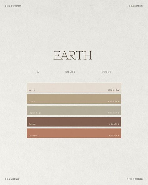 Earth Tone Color Palette Behr, Timeless House Colors, Earth Tone Business Cards, Natural Tone Color Palette, Colour Palette Brown Earth Tones, Earth Tones Branding, Muted Color Palette Earth Tones, Earth Tone Branding, Linen Branding