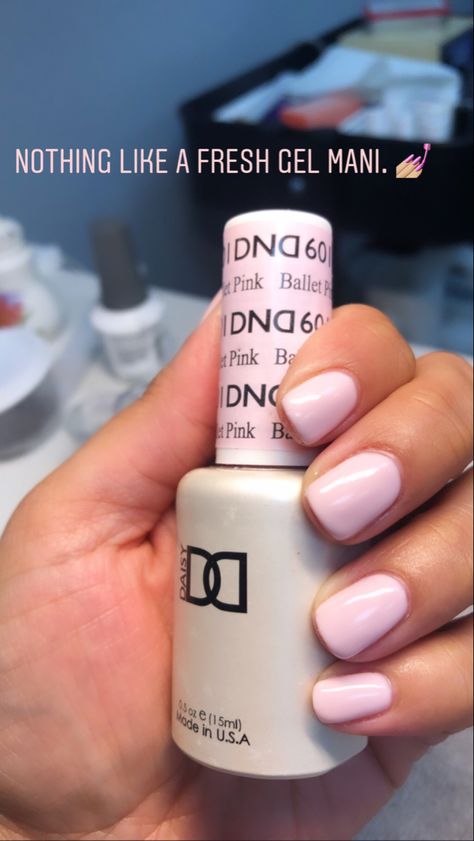 Light Pink Gel Nail Colors, Pink Nails Short Square Design, Daisy Dnd Nail Polish Colors, Dolce Pink Gel Nails, Dnd Natural Pink Gel Color, Dnd Sns Colors, Pyramid Gel Polish Colors, Dnd Gel Polish Colors Pedicure, Dnd Gel Polish Colors Light Pink