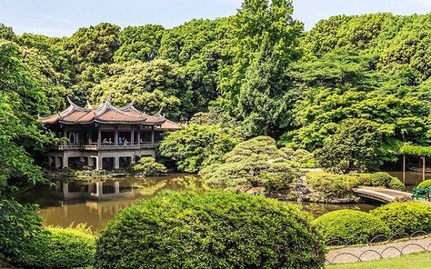 Shinjuku Gyoen National Garden, English Landscape Garden, Tokyo Skyline, Ghibli Museum, Shinjuku Gyoen, Tokyo Museum, Yoyogi Park, Japanese Lifestyle, Tokyo City