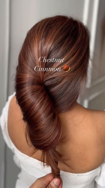 Chestnut Red Hair With Highlights, Chestnut Cinnamon Brown Hair, Chestnut Hair Color On Black Women, Hair Dye Ideas For Tan Skin Tone, Red Chestnut Brown Hair, Warm Auburn Balayage, Rich Cinnamon Brown Hair, Chestnut Cinnamon Hair, Cinnamon Brown Hair Color Caramel