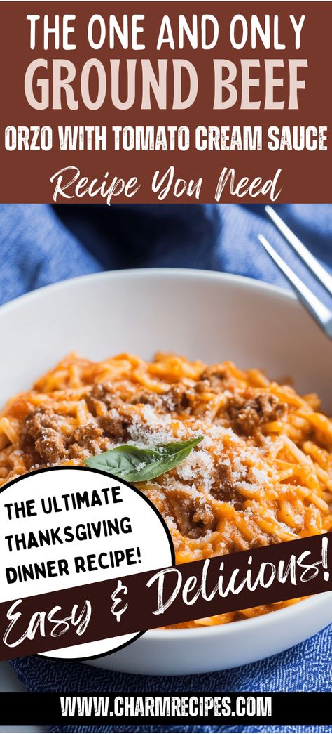 GROUND BEEF ORZO WITH TOMATO CREAM SAUCE Tomato Beef Orzo, Creamy Tomato Beef Orzo, Healthy Orzo Pasta Recipes, Creamy Beef Orzo, Orzo Recipes With Ground Beef, Creamy Tomato Orzo Recipes, Creamy Ground Beef Orzo, Ground Beef With Orzo, Creamy Tomato Ground Beef Orzo