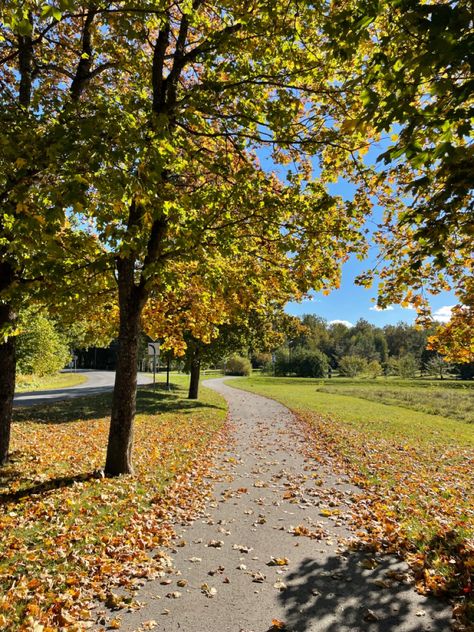 Beginning Of Fall Aesthetic, Autumn Sunny Day, Summer Into Fall Aesthetic, Autumn Australia Aesthetic, Late Summer Early Fall Aesthetic, Sunny Fall Aesthetic, Sunny Autumn Aesthetic, Autumn Romanticizing, Autumn Trees Aesthetic