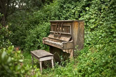 Ghost Piano      An abandoned piano in the woods. Who left it here and how and why? No, it doesn't play Old Piano, Apocalypse Aesthetic, Old Pianos, California Photos, Back To Nature, Nature Aesthetic, Pretty Places, Green Aesthetic, Abandoned Places