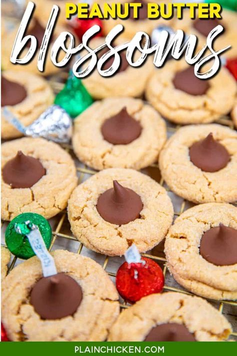 Peanut Butter Blossoms Recipe - Tender peanut butter cookies, made from scratch, and topped with Hershey Kisses. The perfect combination of chocolate and peanut butter. These cookies disappear fast! Butter, peanut butter, brown sugar, sugar, all-purpose flour, baking soda, baking powder, egg, and vanilla extract. Simple to make and even easier to eat! Add this easy recipe to your holiday baking list. It is sure to be a hit! Peanut Butter And Hershey Kiss Cookie, Recipe For Peanut Butter Blossom Cookies, Pioneer Woman Peanut Butter Blossoms, Peanut Butter Blossom Cookies Easy Hershey's Kisses, Peanut Blossom Cookies Recipe, Easy Peanut Butter Blossom Cookies, Hersey Kisses Peanut Butter Cookies, Penutbutter Cookes, Peanut Butter Kiss Cookie Recipe