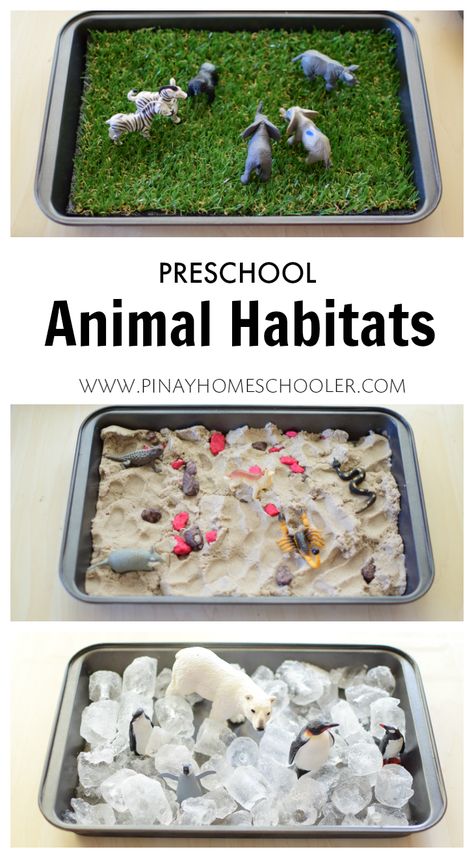 Animal habitats for preschoolers                                                                                                                                                                                 More Preschool Animal Habitats, Habitats Preschool, Animal Habitats Preschool, Animal Habitat, Zoo Theme, Sensory Table, Animal Activities, Preschool Science, Animal Habitats