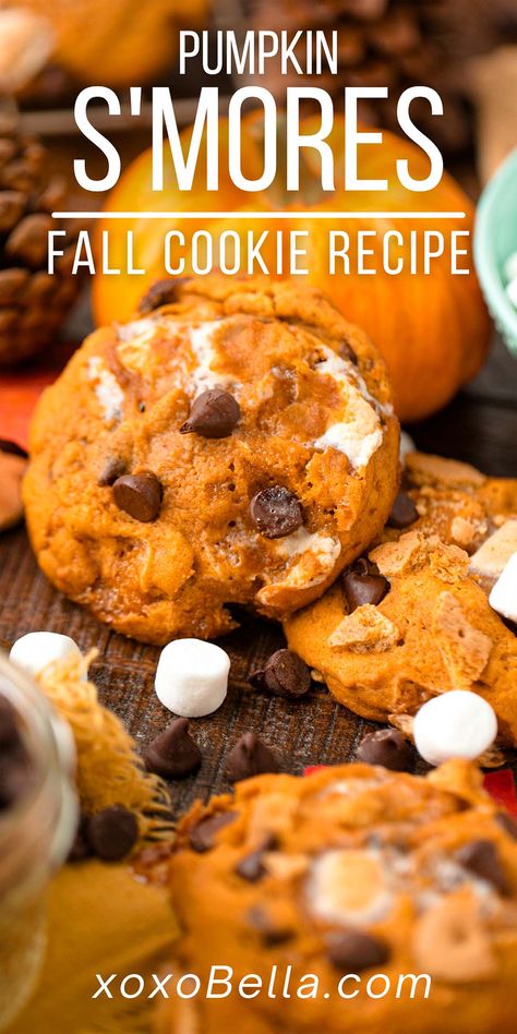 There are literally thousands of fantastic cookie recipes to choose from but, if you want to try something different, you can't go wrong with pumpkin s'mores cookies. They're soft, sweet and very more-ish, offering plenty of amazing flavours in every bite! Pumpkin marshmallow cookies are great for any occasion, and ideal for pumpkin fans. The combo of pumpkin and s'mores flavours is a magical one! Pumpkin s'mores cookies are the perfect fall dessert. Pumpkin Smore Cookies, Pumpkin S’mores Cookies, Fall Time Cookies, Pumpkin Smores Cookies, Cookies Recipes Halloween, Mini Pumpkin Desserts, Pumpkin Marshmallow, Fall Cookie Recipes, S Mores Cookies