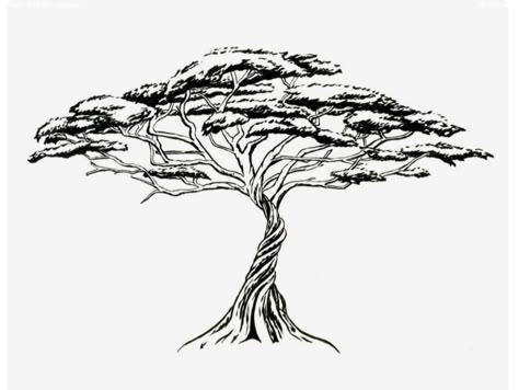 African Tree, Line Art Flowers, Tree Tattoo Designs, Acacia Tree, Tree Drawings Pencil, Tree Illustration, Sketch Inspiration, Tree Tattoo, Tree Drawing